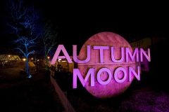 2015_Autumn_Moon_Nacht_Markt_40-2